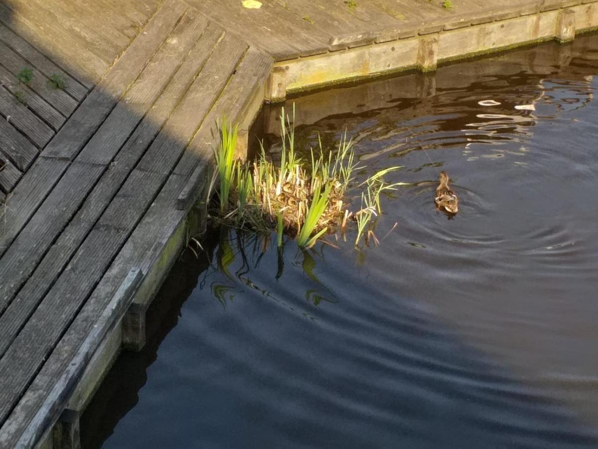 فيلا سانداكمفي Huisje Aan Het Water, Omgeving Amsterdam المظهر الخارجي الصورة